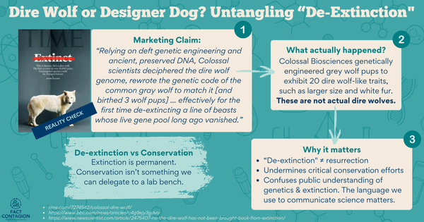 "De-Extinction" or Designer Dog?